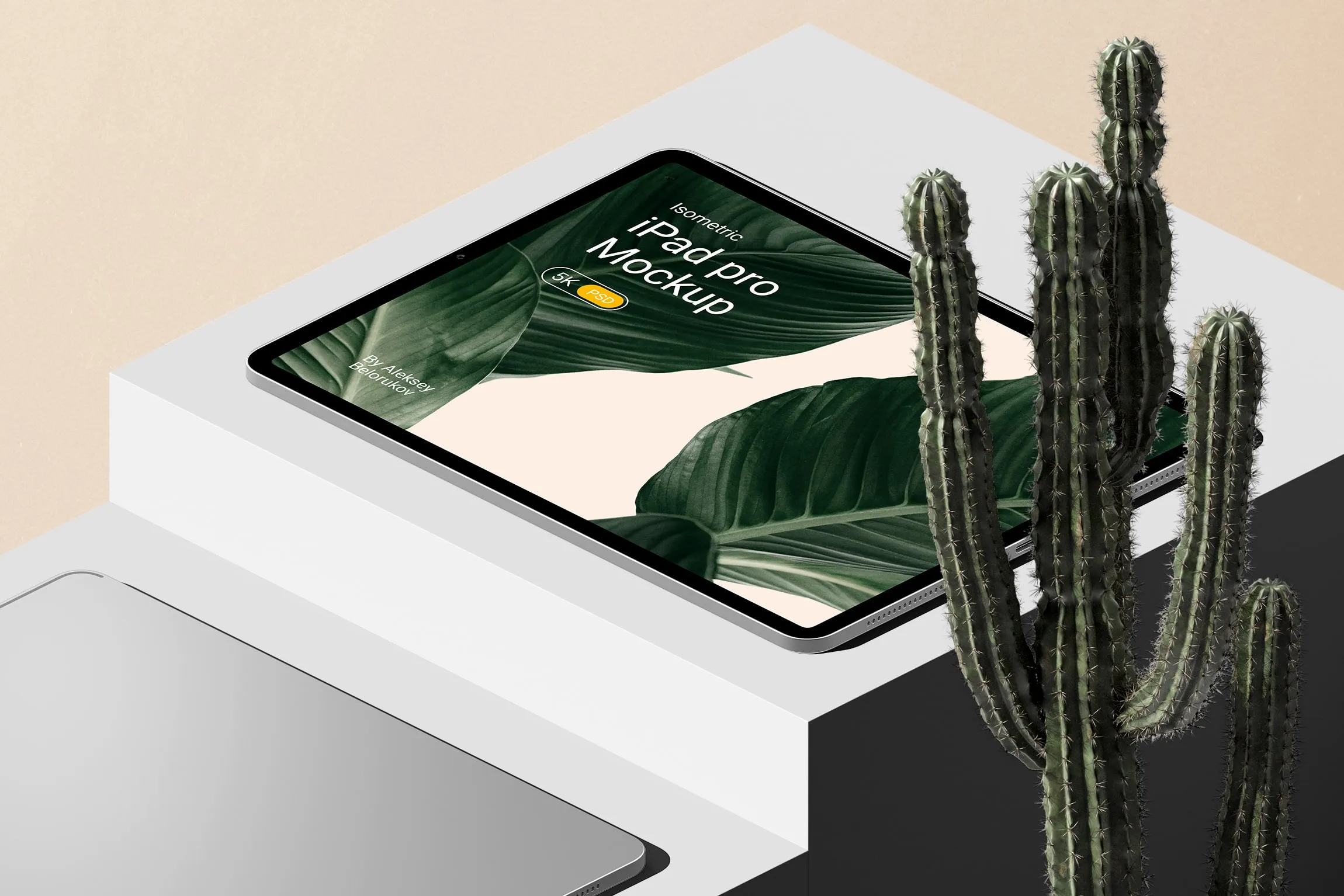 İPad Pro ile Kaktüs Mockup V1 İzometrik |
