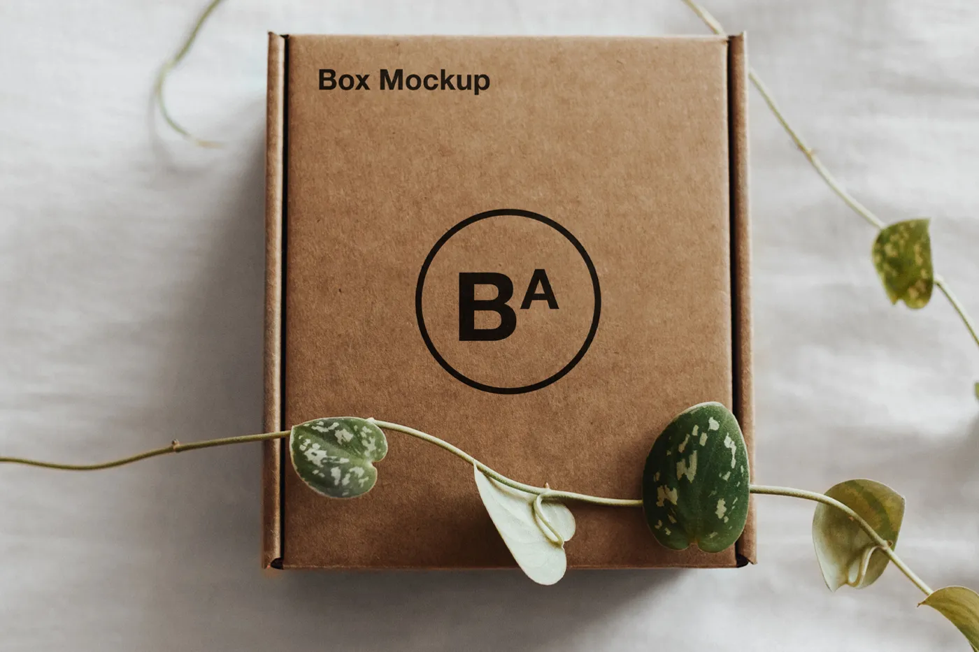Zanaat Kağıt Kutusu Mockup - Mr.Mockup | 