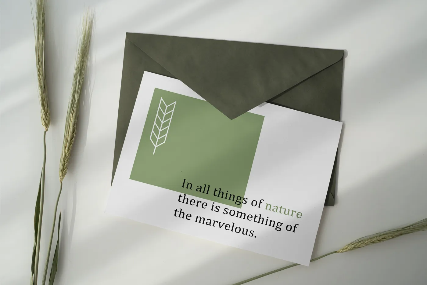 Kartpostal Mockup - Mr.Mockup | 