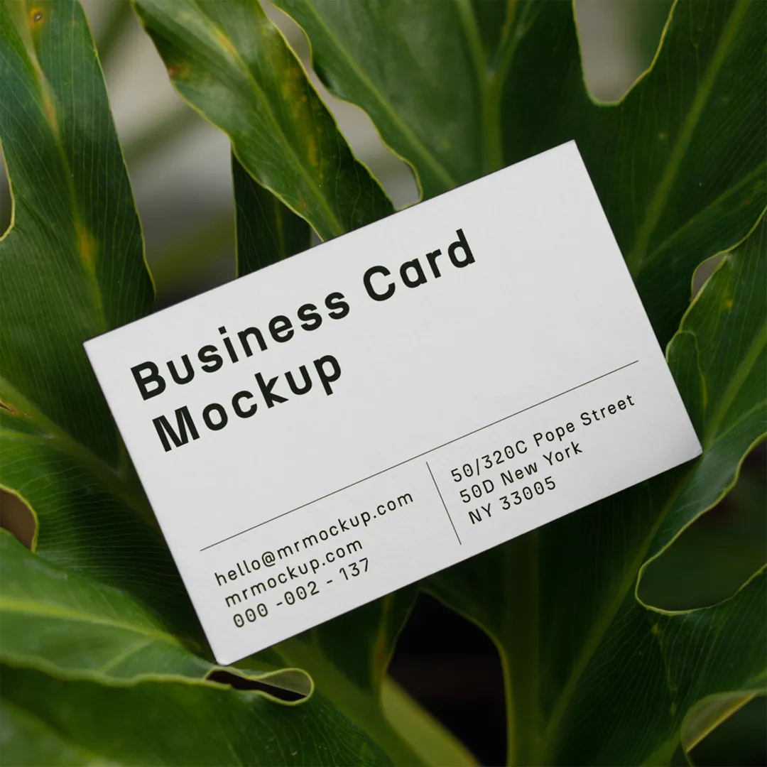 Ficus Mockup - Mr.Mockup arasında ücretsiz kartvizit
