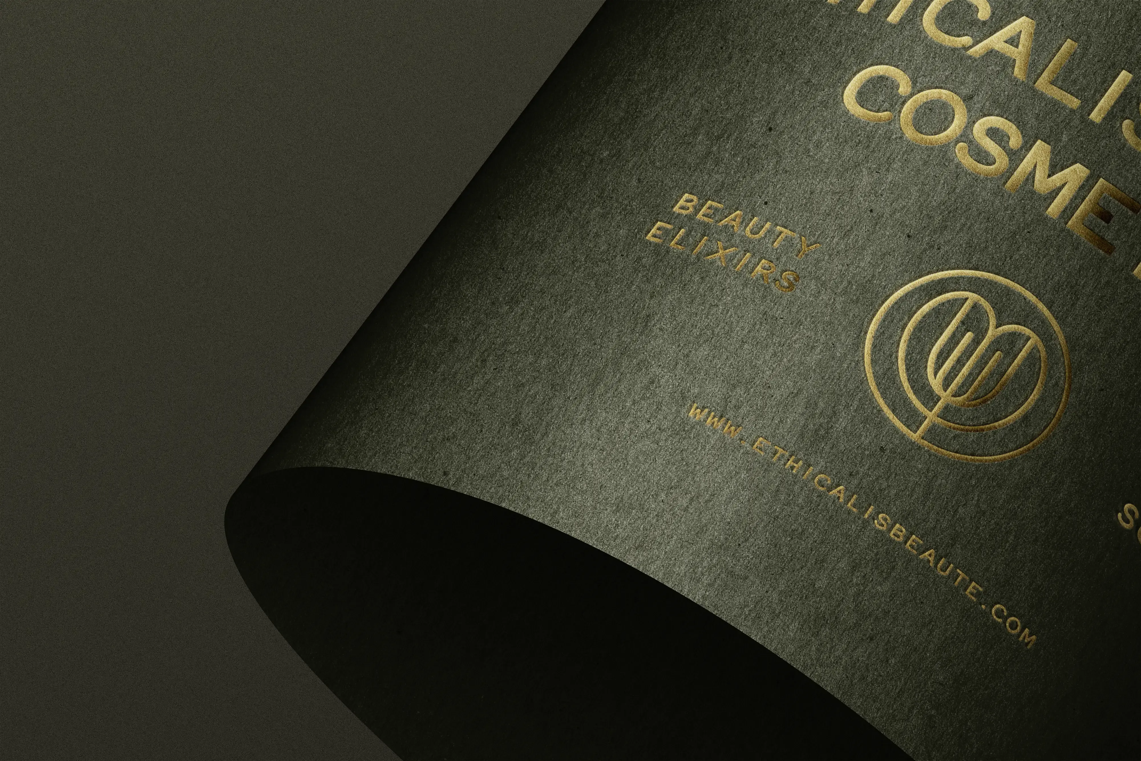 Logo Tasarımı Haddelenmiş Kağıt Mockup V4 Ön Görünüm |